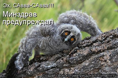 Котоматрица: Эх, САвва-САвва!!! Минздрав предупреждал