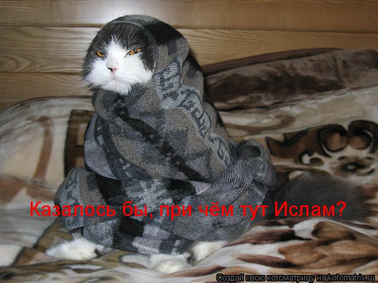 Котоматрица: Казалось бы, при чём тут Ислам?