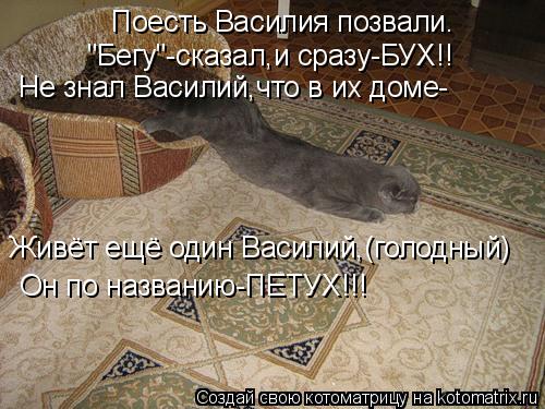 Котоматрица: Поесть Василия позвали. "Бегу"-сказал,и сразу-БУХ!! Не знал Василий,что в их доме- Живёт ещё один Василий,(голодный) Он по названию-ПЕТУХ!!!