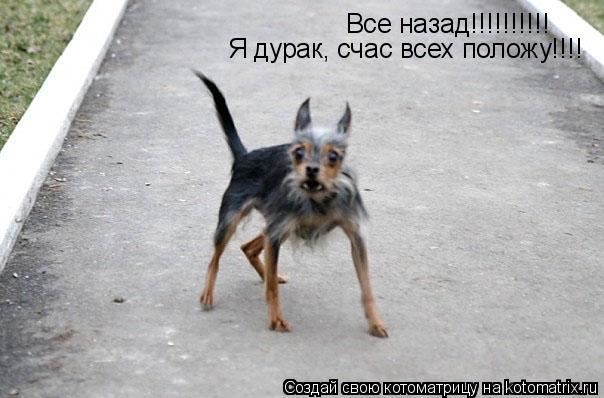 Котоматрица: Все назад!!!!!!!!!! Я дурак, счас всех положу!!!!