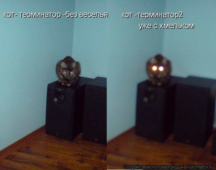 Котоматрица: кот- теоминатор -без веселья кот -терминатор2  уже с хмельком