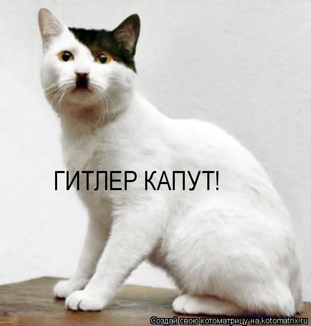 Котоматрица: ГИТЛЕР КАПУТ!