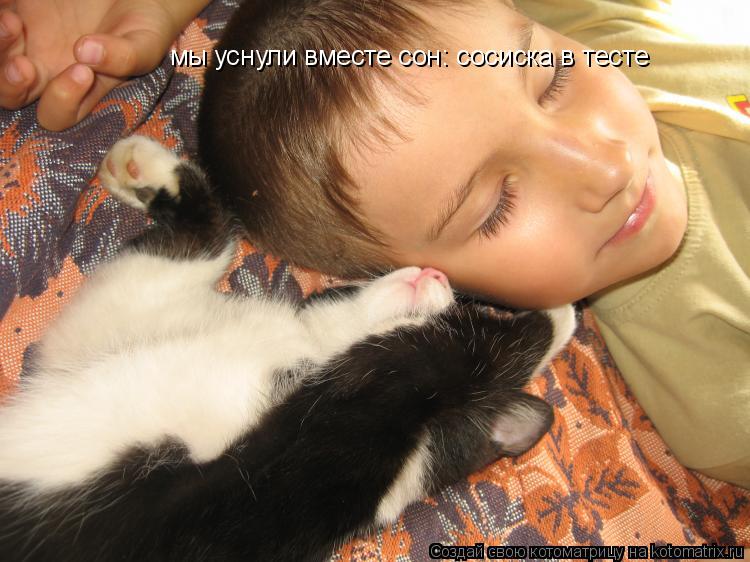 Котоматрица: мы уснули вместе сон: сосиска в тесте