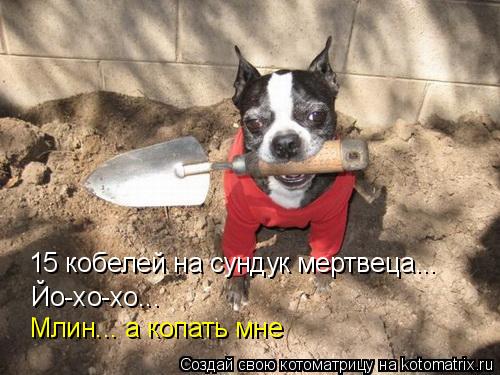 15 кобелей на сундук мертвеца... Йо-хо-хо... Млин... а копать мне... Котоматрица: 15 кобелей на сундук мертвеца... Йо-хо-хо... Млин... а копать мне