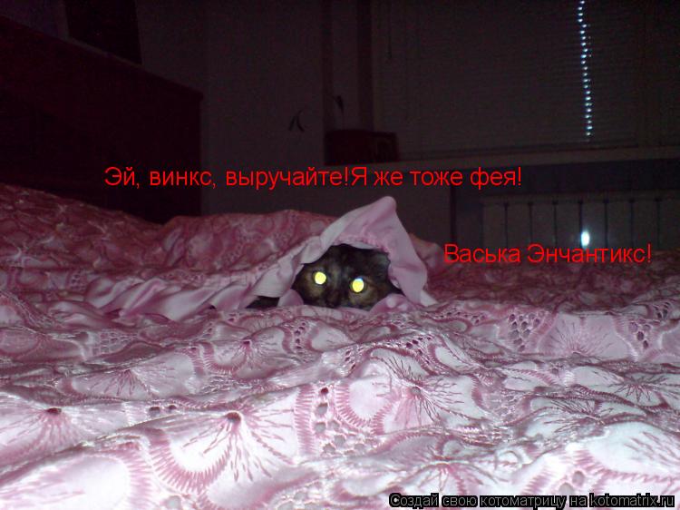 Васька Энчантикс! Эй, винкс, выручайте!Я же тоже фея!... Котоматрица: Васька Энчантикс! Эй, винкс, выручайте!Я же тоже фея!