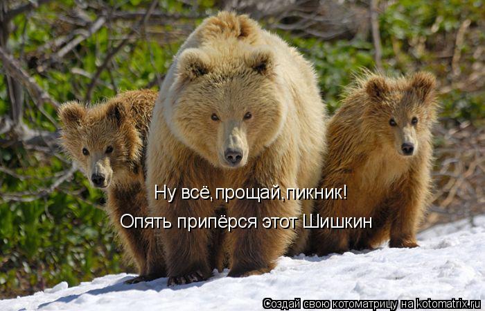 Ну всё,прощай,пикник! Опять припёрся этот Шишкин... Котоматрица: Ну всё,прощай,пикник! Опять припёрся этот Шишкин