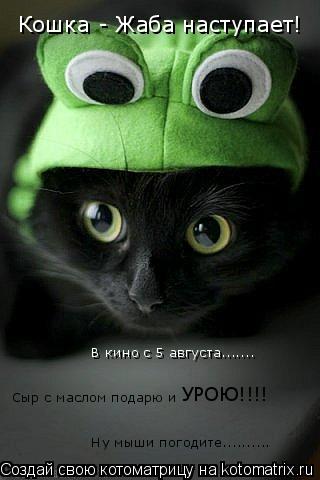 Кошка - Жаба наступает! В кино с 5 августа....... Ну мыши погодите.......... Сыр с маслом подарю и ... Котоматрица: Кошка - Жаба наступает! В кино с 5 августа....... Ну мыши погодите.......... Сыр с маслом подарю и УРОЮ!!!!