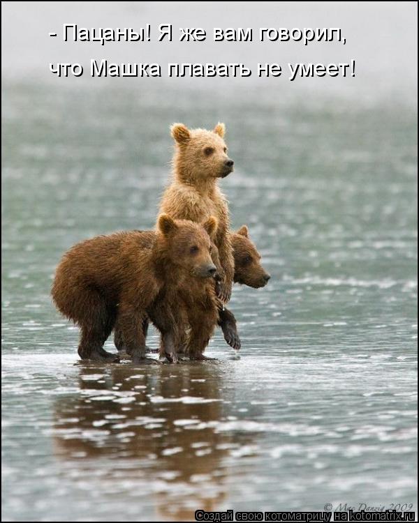 Котоматрица: - Пацаны! Я же вам говорил, что Машка плавать не умеет!