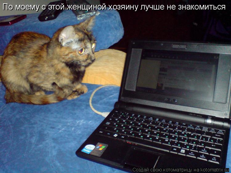 По моему с этой женщиной хозяину лучше не знакомиться... Котоматрица: По моему с этой женщиной хозяину лучше не знакомиться