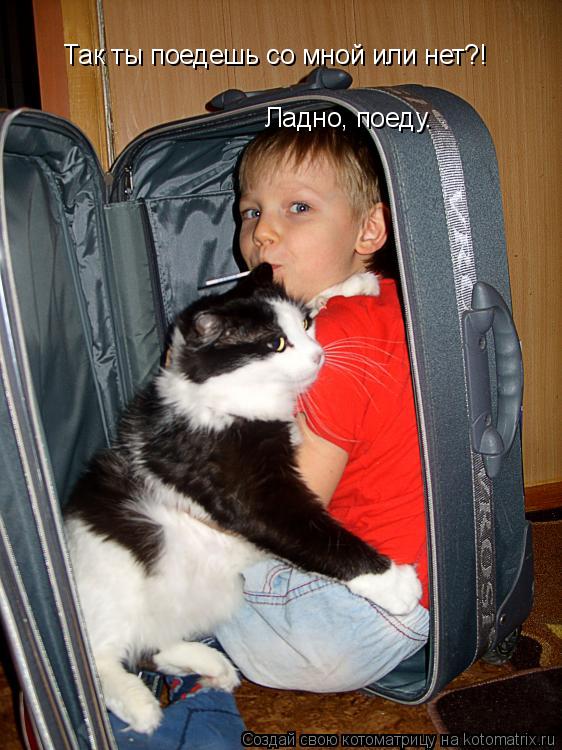 Котоматрица: Так ты поедешь со мной или нет?! Ладно, поеду.