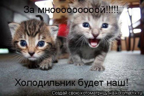 За мнооооооооой!!!!! Холодильник будет наш!... Котоматрица: За мнооооооооой!!!!! Холодильник будет наш!
