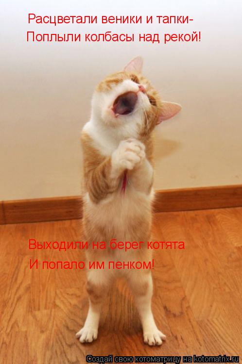 Расцветали веники и тапки- Поплыли колбасы над рекой! Выходили на берег котята И попало им пенком!... Котоматрица: Расцветали веники и тапки- Поплыли колбасы над рекой! Выходили на берег котята И попало им пенком!