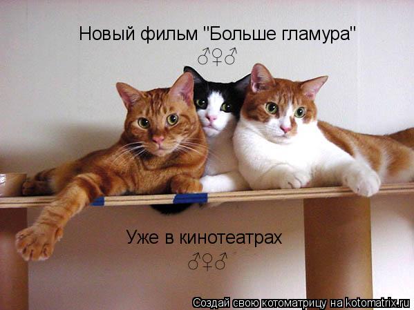 Новый фильм "Больше гламура" Уже в кинотеатрах ♂♀♂ ♂♀♂... Котоматрица: Новый фильм "Больше гламура" Уже в кинотеатрах ♂♀♂ ♂♀♂