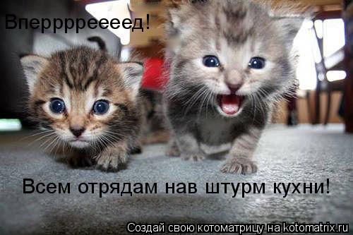 Вперррреееед! Всем отрядам нав штурм кухни!... Котоматрица: Вперррреееед! Всем отрядам нав штурм кухни!