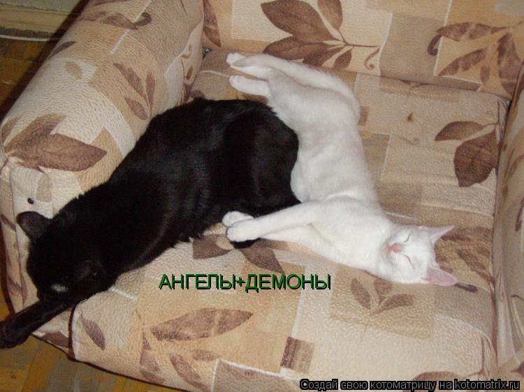 Котоматрица: АНГЕЛЫ+ДЕМОНЫ