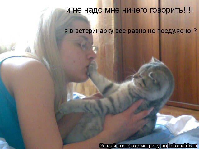 Котоматрица: и не надо мне ничего говорить!!!! я в ветеринарку все равно не поеду.ясно!? в прошлый раз кастриравали и в этот тоже самое будет...
