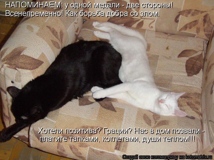 НАПОМИНАЕМ: у одной медали - две стороны! Всенепременно! Как борьба добра со злом. Хотели позитива? Г... Котоматрица: НАПОМИНАЕМ: у одной медали - две стороны! Всенепременно! Как борьба добра со злом. Хотели позитива? Грации? Нас в дом позвали - платите тапкам