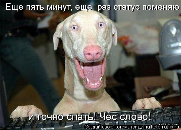 Котоматрица: Еще пять минут, еще  раз статус поменяю и точно спать! Чес слово!