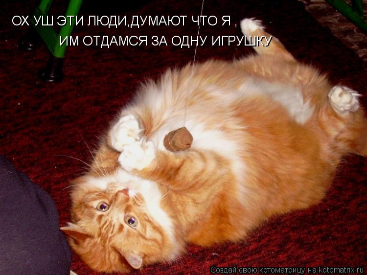Котоматрица: ОХ УШ ЭТИ ЛЮДИ,ДУМАЮТ ЧТО Я , ИМ ОТДАМСЯ ЗА ОДНУ ИГРУШКУ