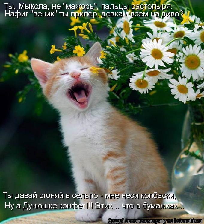 Ты, Мыкола, не "мажорь", пальцы растопыря. Нафиг "веник" ты припёр, девкам всем на диво? Ну а Дунюшке... Котоматрица: Ты, Мыкола, не "мажорь", пальцы растопыря. Нафиг "веник" ты припёр, девкам всем на диво? Ну а Дунюшке конфет!!! Этих... что в бумажках... Ты давай сг