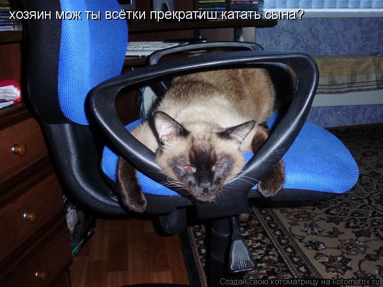 Котоматрица: хозяин мож ты всётки прекратиш катать сына?