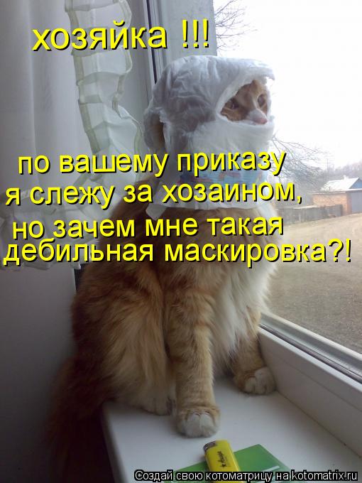 хозяйка !!! по вашему приказу я слежу за хозаином, но зачем мне такая дебильная маскировка?!... Котоматрица: хозяйка !!! по вашему приказу я слежу за хозаином, но зачем мне такая дебильная маскировка?!