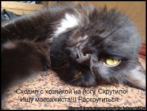 Сходил с хозяйкой на йогу. Скрутило! Ищу массажиста!!! Раскрутиться.... Котоматрица: Сходил с хозяйкой на йогу. Скрутило! Ищу массажиста!!! Раскрутиться.