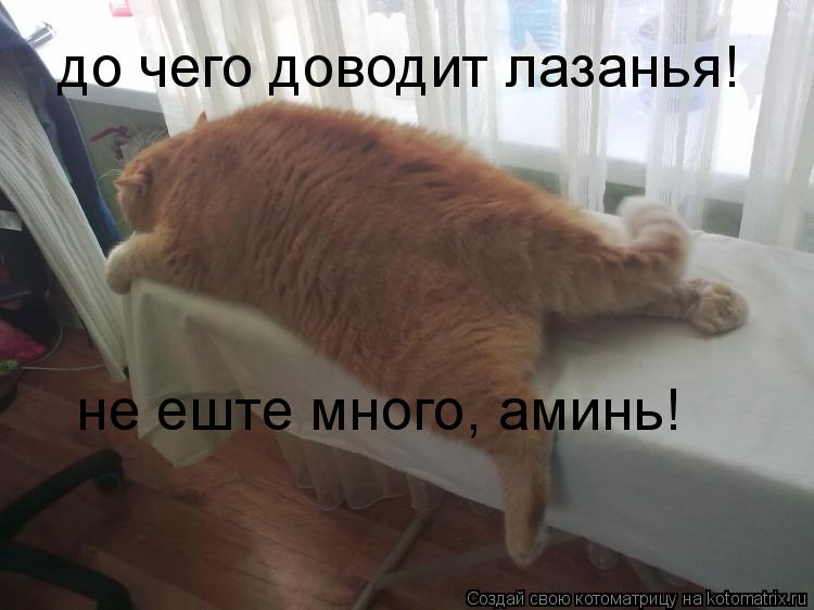 Котоматрица: до чего доводит лазанья! не еште много, аминь!