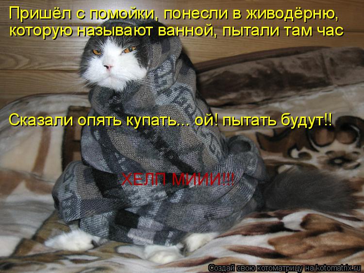 Котоматрица: Пришёл с помойки, понесли в живодёрню, которую называют ванной, пытали там час Сказали опять купать... ой! пытать будут!! Хэлп МИ ХЕЛП МИИИ!!!