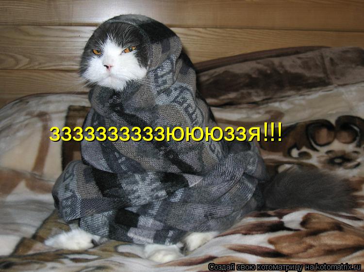 Котоматрица: ззззззззззюююззя!!!