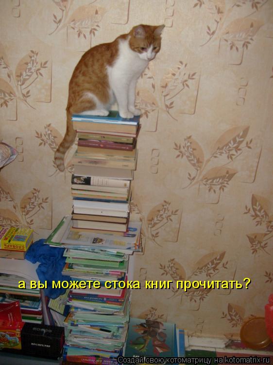 Котоматрица: а вы можете стока книг прочитать?