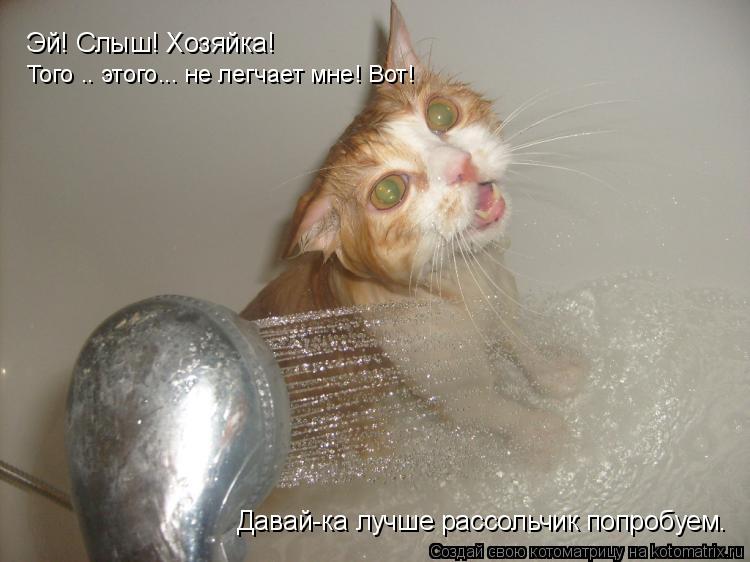 Эй! Слыш! Хозяйка! Того …. этого……. не легчает мне! Вот! Давай-ка лучше рассольчик попробуем.... Котоматрица: Эй! Слыш! Хозяйка! Того …. этого……. не легчает мне! Вот! Давай-ка лучше рассольчик попробуем.
