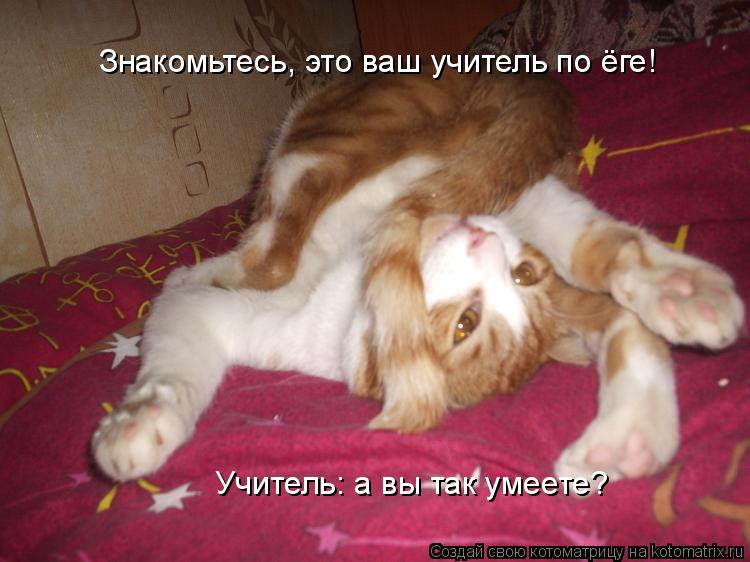 Котоматрица: Знакомьтесь, это ваш учитель по ёге! Учитель: а вы так умеете?