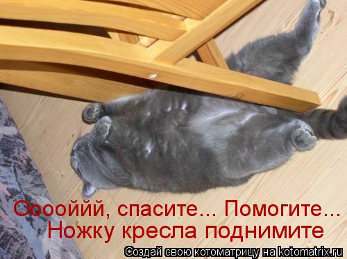 Котоматрица: Ооооййй, спасите... Помогите... Ножку кресла поднимите