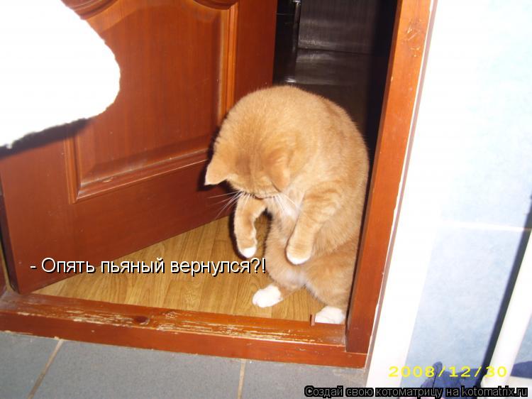 - Опять пьяный вернулся?!... Котоматрица: - Опять пьяный вернулся?!