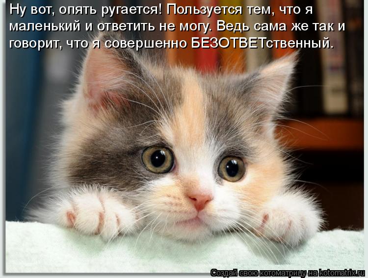 Ну вот, опять ругается! Пользуется тем, что я маленький и ответить не могу. Ведь сама же так и говори... Котоматрица: Ну вот, опять ругается! Пользуется тем, что я маленький и ответить не могу. Ведь сама же так и говорит, что я совершенно БЕЗОТВЕТственный.