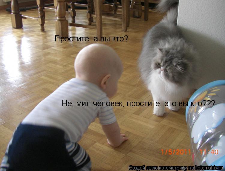 Простите, а вы кто? Не, мил человек, простите, это вы кто???... Котоматрица: Простите, а вы кто? Не, мил человек, простите, это вы кто???