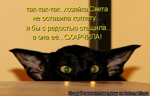 так-так-так..хозяйка Света не оставила котлету... я бы с радостью стащила... а она её...СХАРЧИЛА!... Котоматрица: так-так-так..хозяйка Света не оставила котлету... я бы с радостью стащила... а она её...СХАРЧИЛА!