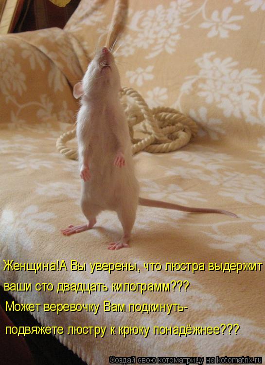 Женщина!А Вы уверены, что люстра выдержит ваши сто двадцать килограмм??? Может веревочку Вам подкинут... Котоматрица: Женщина!А Вы уверены, что люстра выдержит ваши сто двадцать килограмм??? Может веревочку Вам подкинуть- подвяжете люстру к крюку понадёжнее?