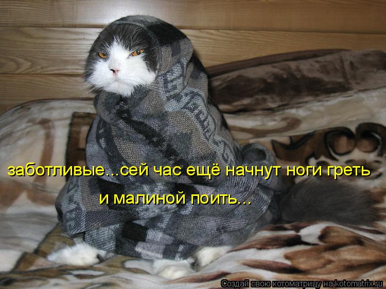 Котоматрица: заботливые...сей час ещё начнут ноги греть и малиной поить...