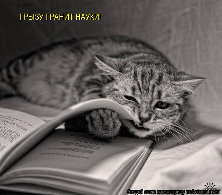 Котоматрица: ГРЫЗУ ГРАНИТ НАУКИ!