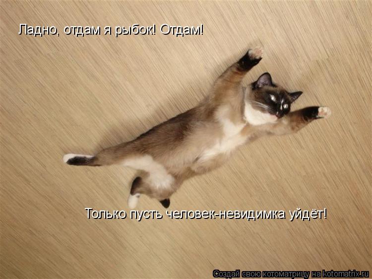 Котоматрица: Ладно, отдам я рыбок! Отдам!  Только пусть человек-невидимка уйдёт!