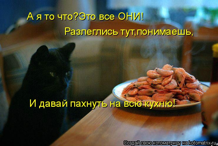 Котоматрица: А я то что?Это все ОНИ! Разлеглись тут,понимаешь, И давай пахнуть на всю кухню!