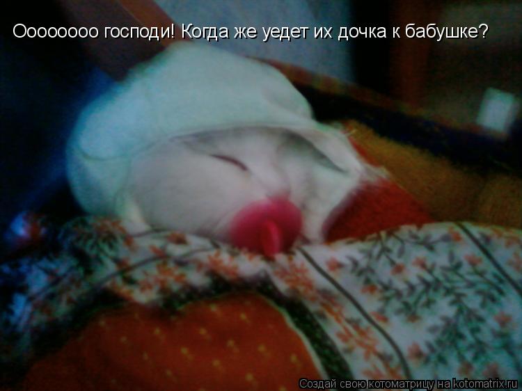 Котоматрица: Оооооооо господи! Когда же уедет их дочка к бабушке?
