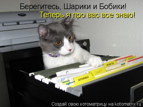 Котоматрица: Берегитесь, Шарики и Бобики! Теперь я про вас все знаю!