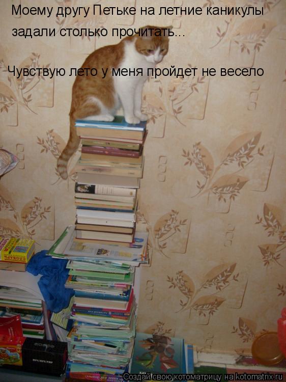 Котоматрица: Моему другу Петьке на летние каникулы задали столько прочитать... Чувствую лето у меня пройдет не весело