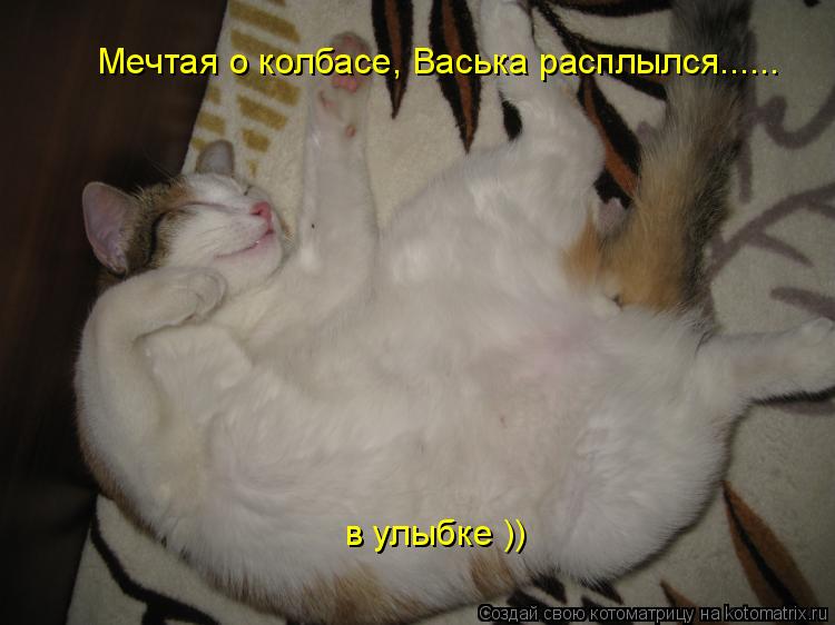 Котоматрица: Мечтая о колбасе, Васька расплылся...... в улыбке ))