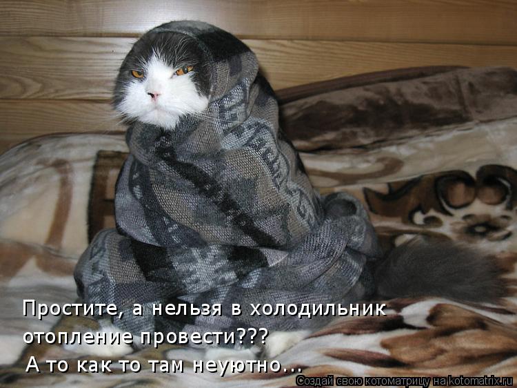 Простите, а нельзя в холодильник отопление провести??? А то как то там неуютно...... Котоматрица: Простите, а нельзя в холодильник отопление провести??? А то как то там неуютно...