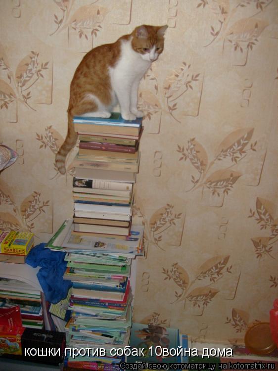 кошки против собак 10война дома... Котоматрица: кошки против собак 10война дома
