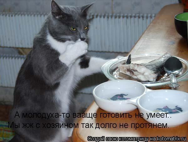 А молодуха-то вааще готовить не умеет.. Мы жж с хозяином так долго не протянем.... Котоматрица: А молодуха-то вааще готовить не умеет.. Мы жж с хозяином так долго не протянем.